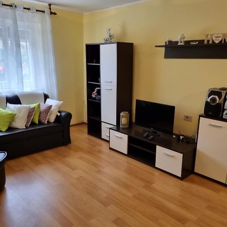 Apartment Sanja Pazin Extérieur photo
