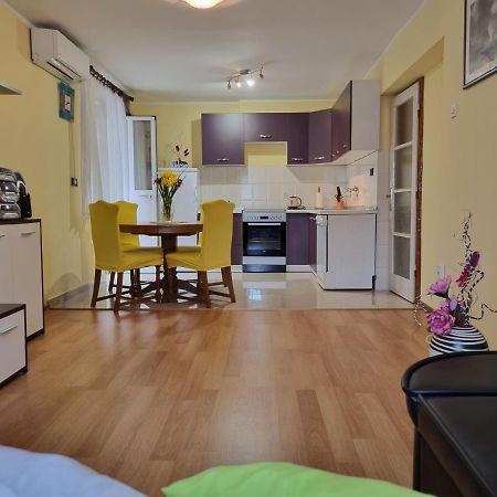 Apartment Sanja Pazin Extérieur photo