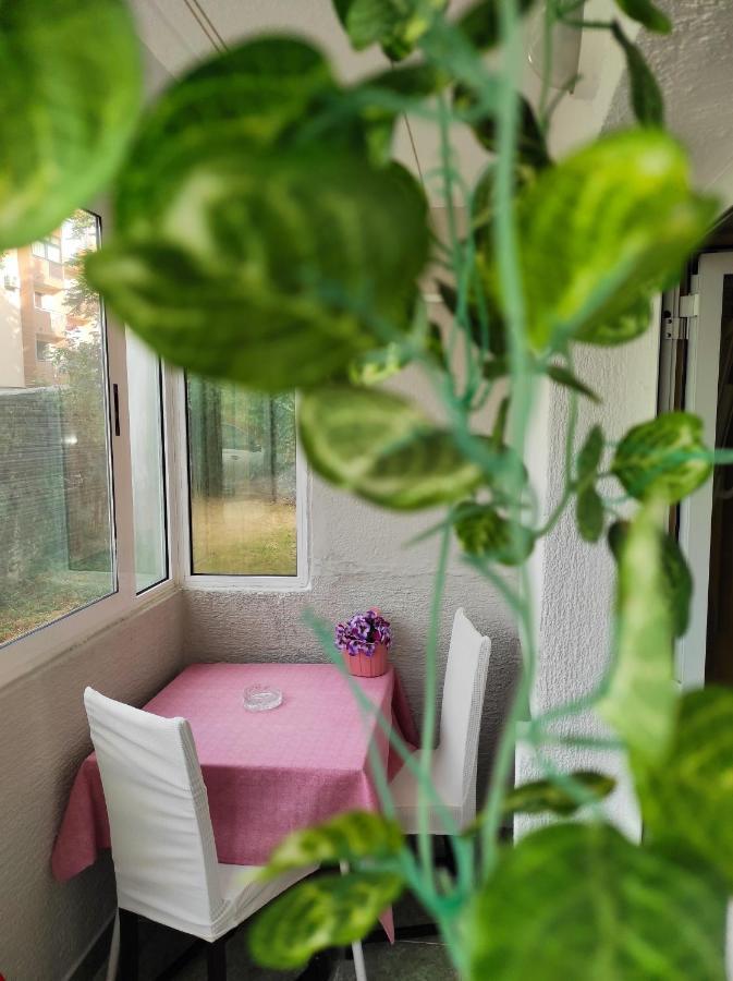 Apartment Sanja Pazin Extérieur photo