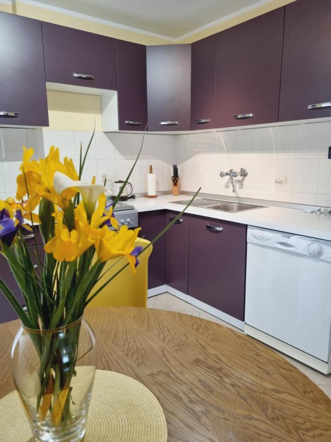 Apartment Sanja Pazin Extérieur photo